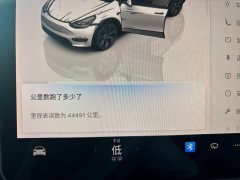 Tesla Model Y Long Range All-Wheel Drive - ფოტო 7