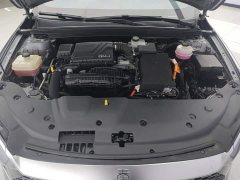 BYD Qin PLUS Champion Edition DM-i 55KM Exceed - ფოტო 10
