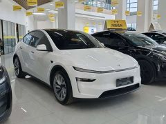 Tesla Model Y Rear-Wheel Drive - ფოტო 3