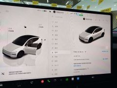Tesla Model Y Rear-Wheel Drive - ფოტო 6
