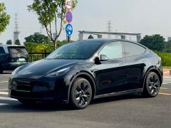 Tesla Model Y 2023 Rear-Wheel Drive - ფოტო 1