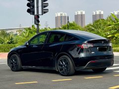 Tesla Model Y 2023 Rear-Wheel Drive - ფოტო 11