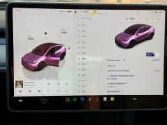 Tesla Model Y 2023 Rear-Wheel Drive - ფოტო 15