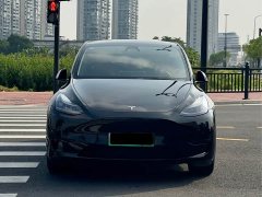 Tesla Model Y 2023 Rear-Wheel Drive - ფოტო 2