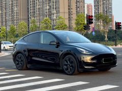 Tesla Model Y 2023 Rear-Wheel Drive - ფოტო 3