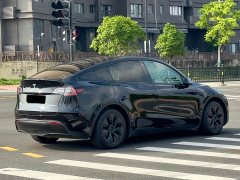 Tesla Model Y 2023 Rear-Wheel Drive - ფოტო 9