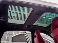 Porsche Panamera 4 Executive Extended Platinum Edition 2.9T - ფოტო 12