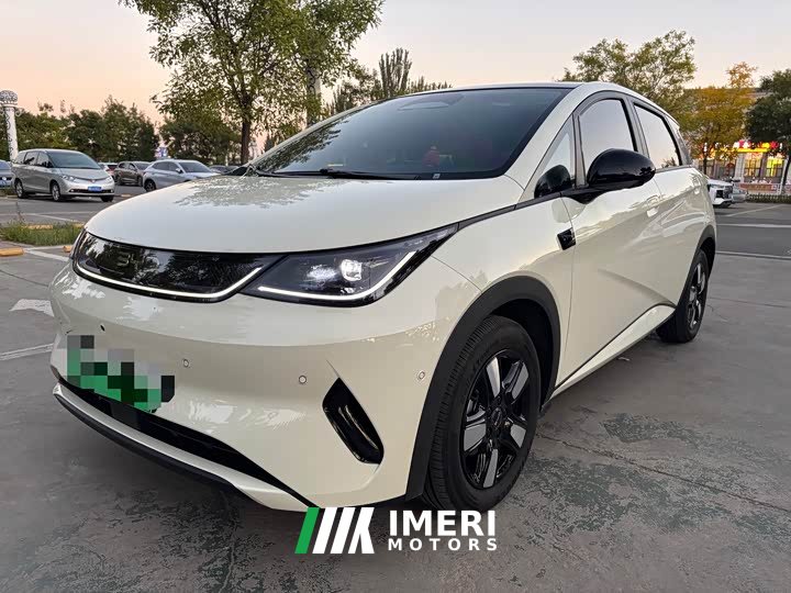 BYD Dolphin Smart Drive 410km Fashion Edition