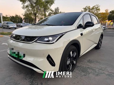 2025 BYD Dolphin Smart Drive 410km Fashion Edition - ავტომობილი ჩინეთიდან