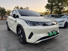 BYD Dolphin Smart Drive 410km Fashion Edition - ფოტო 10