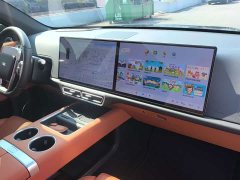 Li Auto L6 Pro Smart Refresh Edition - ფოტო 9