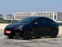 Tesla Model Y Long Range All-Wheel Drive 3D7 - ფოტო 1