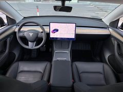 Tesla Model Y Long Range All-Wheel Drive 3D7 - ფოტო 15