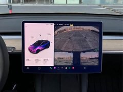 Tesla Model Y Long Range All-Wheel Drive 3D7 - ფოტო 16