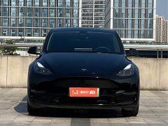 Tesla Model Y Long Range All-Wheel Drive 3D7 - ფოტო 2