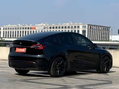 Tesla Model Y Long Range All-Wheel Drive 3D7 - ფოტო 4