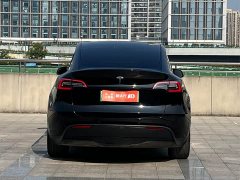 Tesla Model Y Long Range All-Wheel Drive 3D7 - ფოტო 5