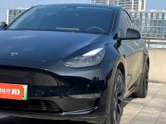 Tesla Model Y Long Range All-Wheel Drive 3D7 - ფოტო 7