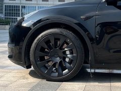 Tesla Model Y Long Range All-Wheel Drive 3D7 - ფოტო 8