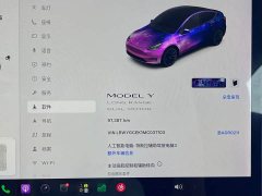 Tesla Model Y Long Range All-Wheel Drive 3D7 - ფოტო 9