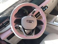 Geely Geometry E Firefly 301km Starlight - ფოტო 15