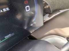 BYD Song Pro New Energy Champion Edition DM-i 71KM Leading Type - ფოტო 8
