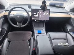 Tesla Model 3 2022 Rear-Wheel Drive - ფოტო 10