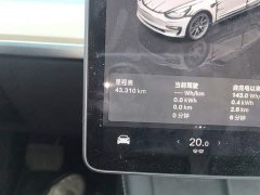 Tesla Model 3 2022 Rear-Wheel Drive - ფოტო 13