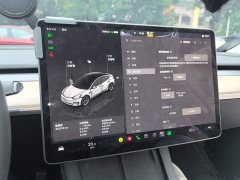 Tesla Model 3 2022 Rear-Wheel Drive - ფოტო 14