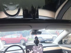 Tesla Model 3 2022 Rear-Wheel Drive - ფოტო 19