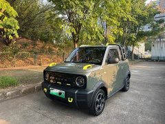Geely Panda 210km Panda Knight - ფოტო 1
