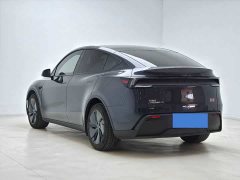 Tesla Model Y Long Range All-Wheel Drive - ფოტო 3