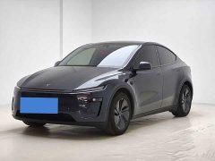 Tesla Model Y Long Range All-Wheel Drive - ფოტო 8