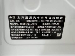 Buick GL8 New Energy Lusang Respect Edition - ფოტო 20