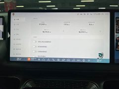 Xpeng G9 2022 702 Max - ფოტო 16