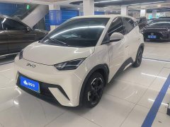 BYD Seagull Glory Edition 405km Flying Edition - ფოტო 1