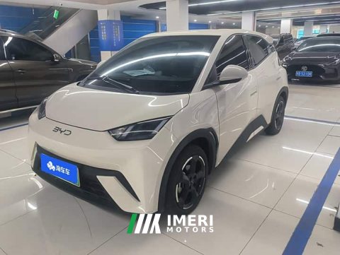 2024 BYD Seagull Glory Edition 405km Flying Edition - ავტომობილი ჩინეთიდან