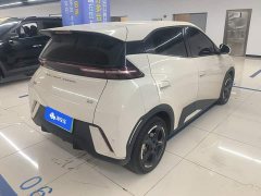 BYD Seagull Glory Edition 405km Flying Edition - ფოტო 3