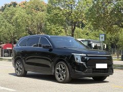Jetour Jietu Shanhai L7 PLUS 2026 220km Flagship 7-Seater - ფოტო 3