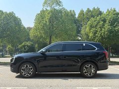 Jetour Jietu Shanhai L7 PLUS 2026 220km Flagship 7-Seater - ფოტო 4