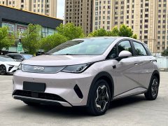 BYD Dolphin Smart Drive 420km Freedom Edition - ფოტო 1