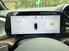 BYD Dolphin Smart Drive 420km Freedom Edition - ფოტო 12