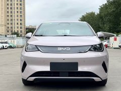 BYD Dolphin Smart Drive 420km Freedom Edition - ფოტო 2