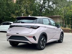 BYD Dolphin Smart Drive 420km Freedom Edition - ფოტო 5