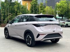 BYD Dolphin Smart Drive 420km Freedom Edition - ფოტო 7