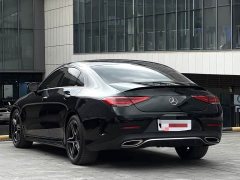 Mercedes-Benz CLS 300 Luxury - ფოტო 4