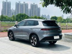 BYD Song Pro New Energy Champion Edition DM-i 110KM Excellence - ფოტო 7