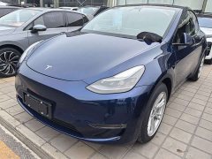 Tesla Model Y 2021 Long Range All-Wheel Drive - ფოტო 1