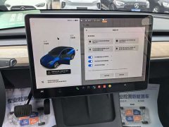 Tesla Model Y 2021 Long Range All-Wheel Drive - ფოტო 12