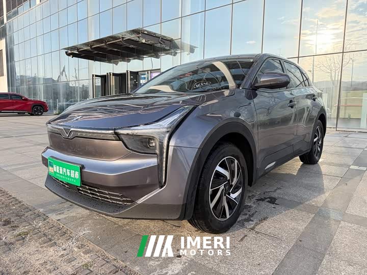 Neta U Pro 400 Premium Driving Edition - ავტომობილი ჩინეთიდან